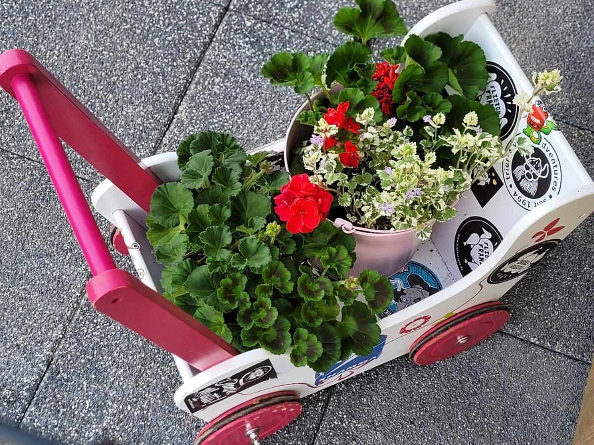 Apartament Nina Jelení Hora Exteriér fotografie