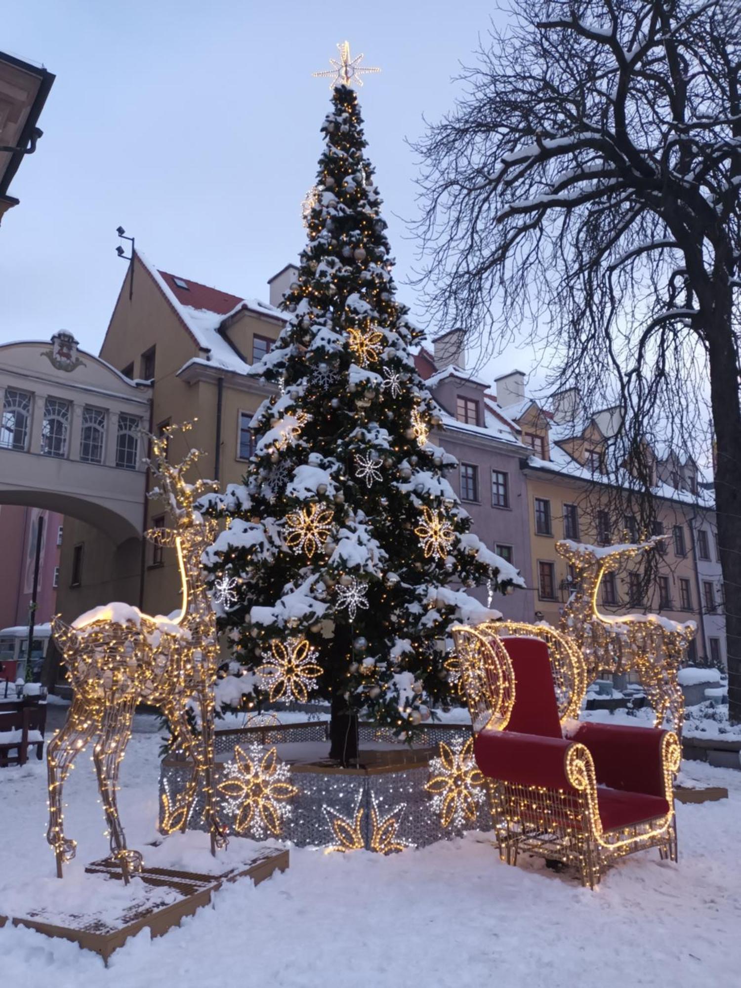 Apartament Nina Jelení Hora Exteriér fotografie